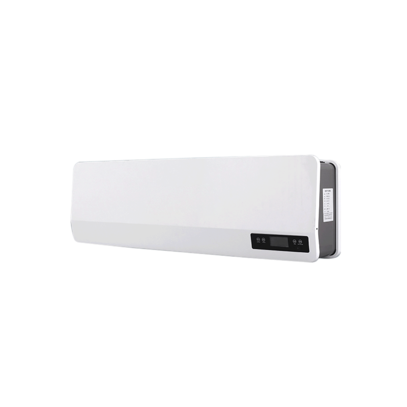 Wall mounted plasma air disinfection machine